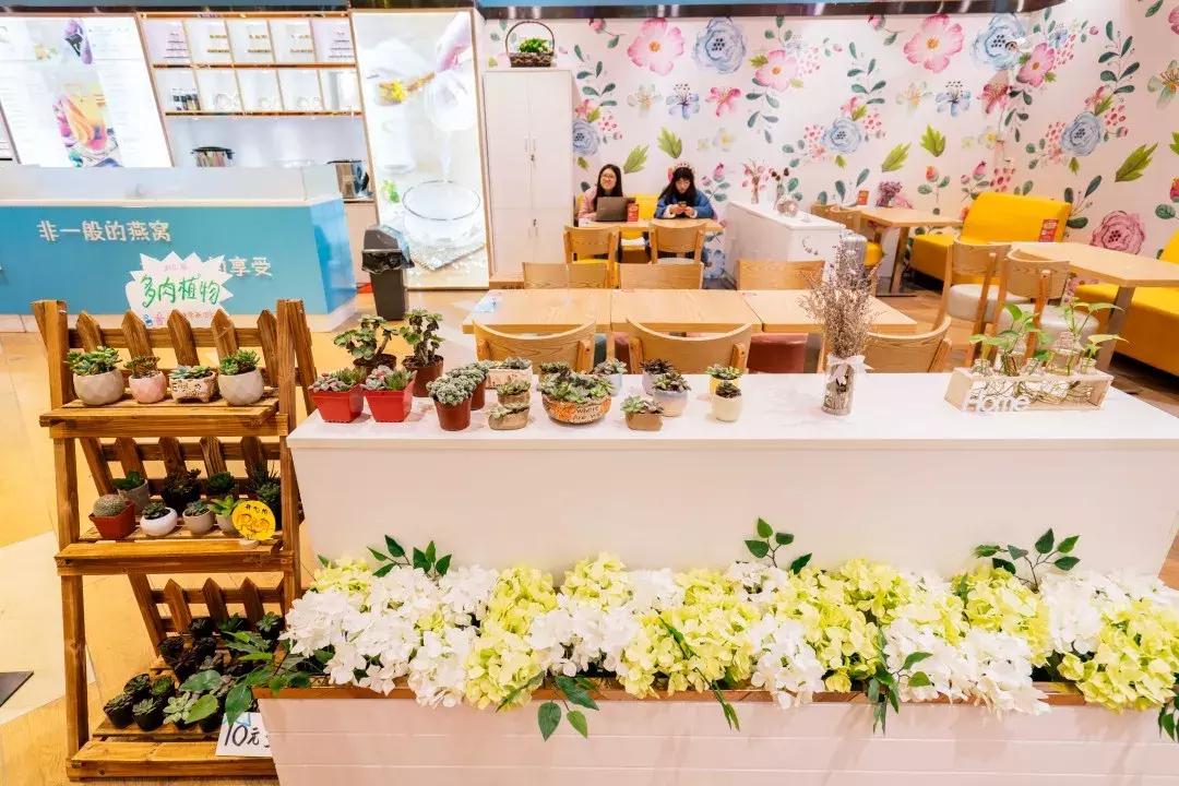 抗老神仙水单品,抗老用神仙水搭配什么