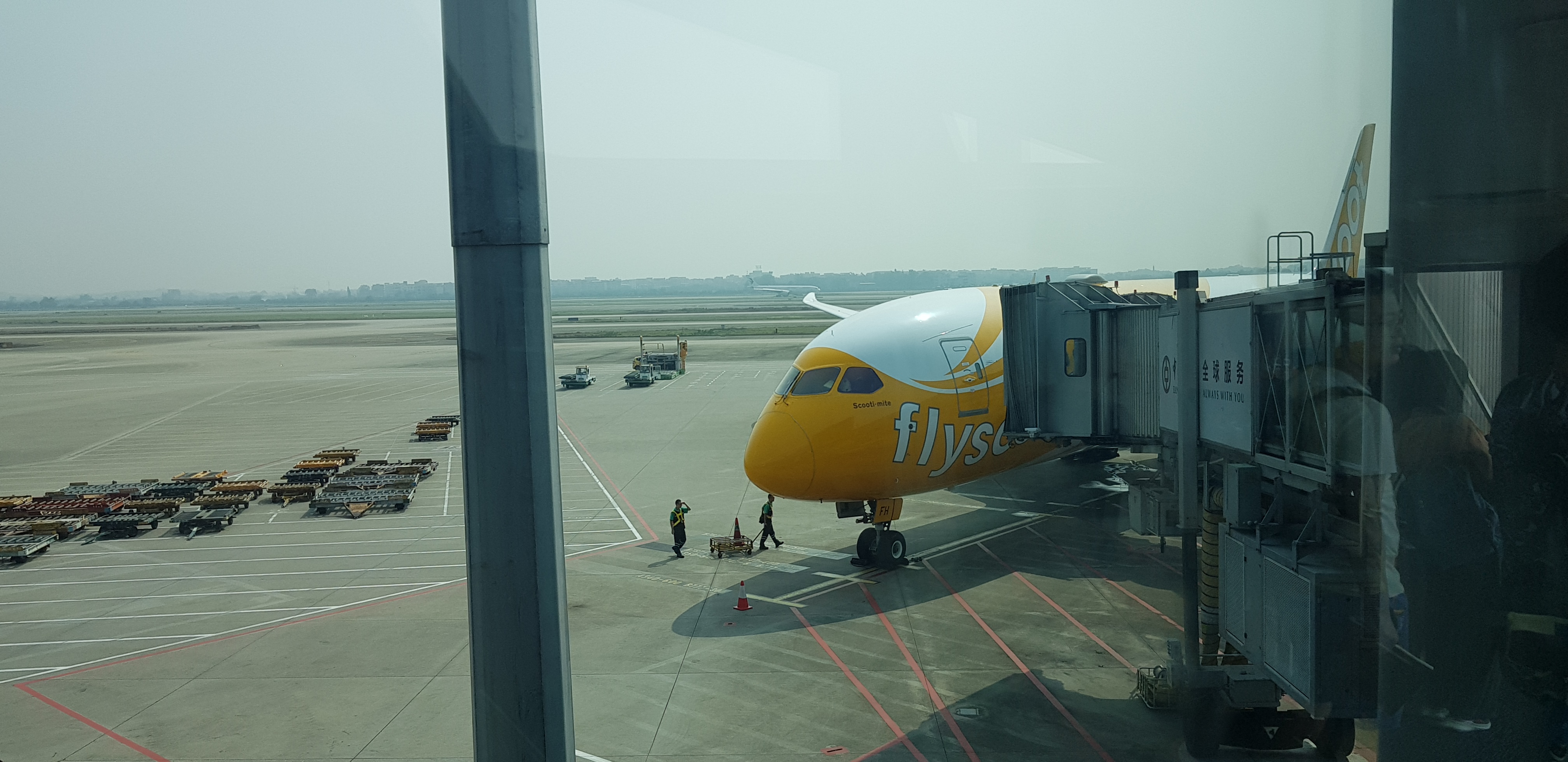 飞机去新加坡旅行 (新加坡旅游攻略航班)