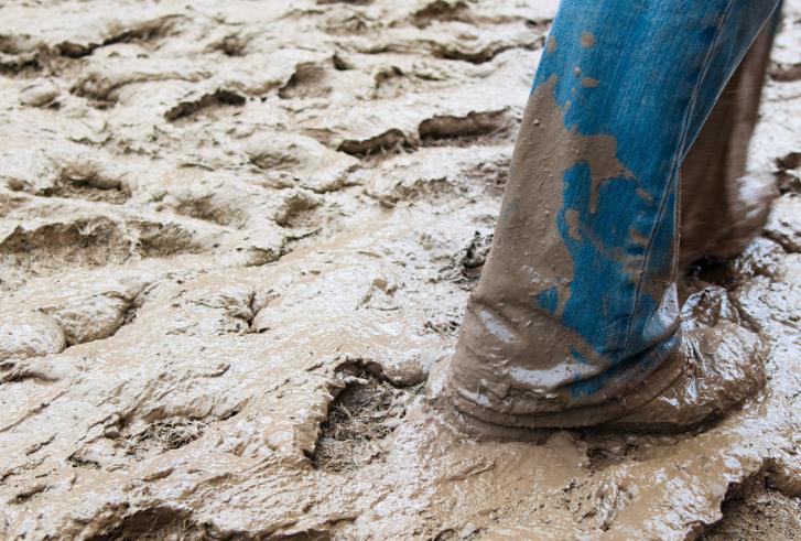 我家的江南风光,小小碗莲,自在清香淡雅,真的好看极了