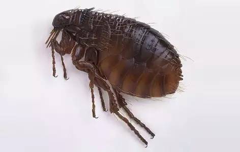 实用的冷知识大全建议收藏哦,十个超有用的冷知识大全