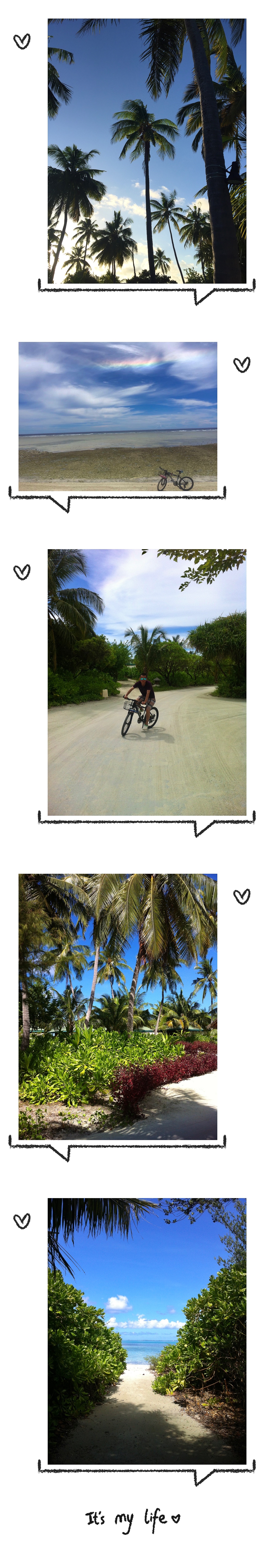 马尔代夫游玩攻略跟团,马尔代夫thinadhoo上岛费用多少