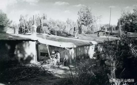 伟大的新疆,伟大的阿勒泰