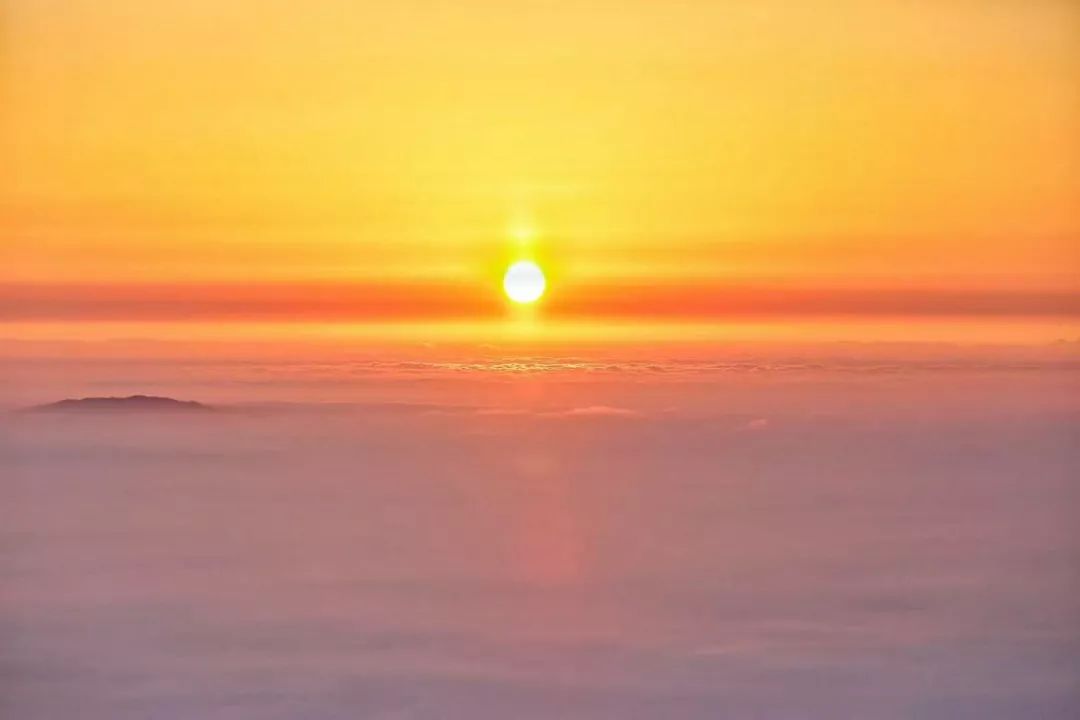 秋天赏枫叶好去处,赏红叶正当时