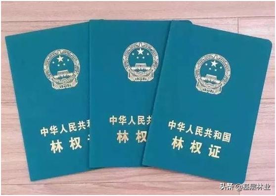 农村山林证遗失能补办吗,农村山林土地证遗失怎么办