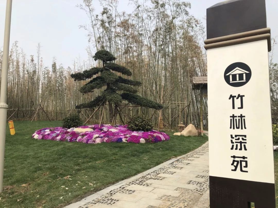 阜城大型公园在哪里,花海剧场区