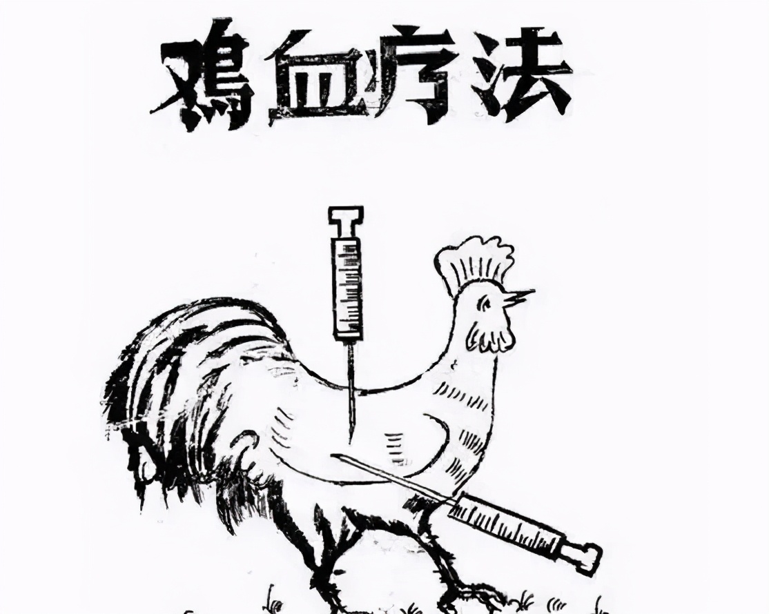 闵行鸡血学校,沪上最鸡血十所小学