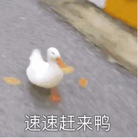 挖宝推荐衣服,淘宝挖宝好物推荐