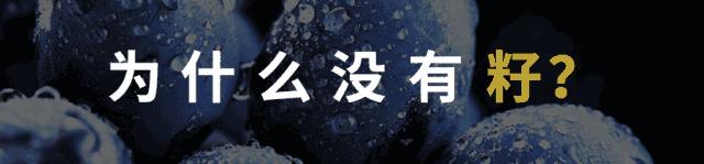 无籽水果是因为用有避孕药吗,无籽的水果是抹避孕药了吗