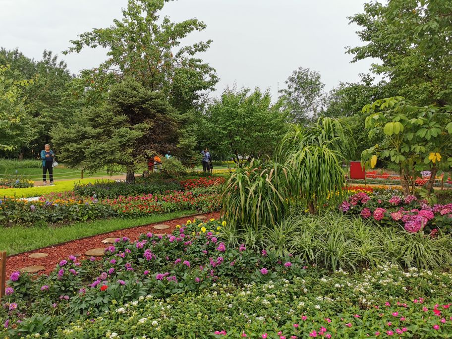 百花园里花里花争艳,百花园里百花香