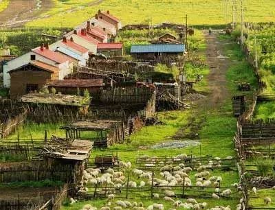 冷门专业的逆袭人生,逆袭专业有哪些