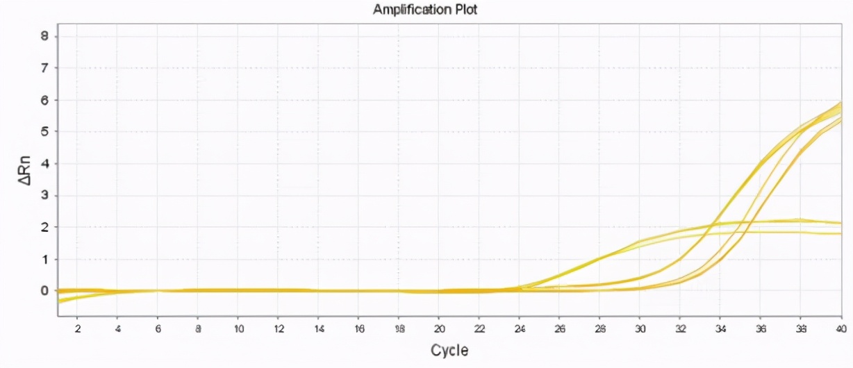 qpcr一点曲线都没有,qpcr循环数不一样怎么办