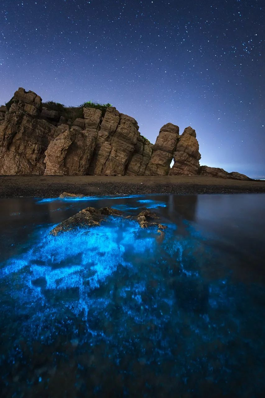 忽然想去旅游了,忽然想去宁波了