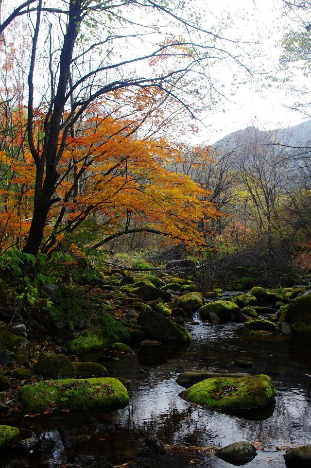 十一沿途风景,十一去红叶谷的景致