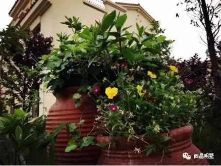 青浦江南里别墅,青浦水乡客厅