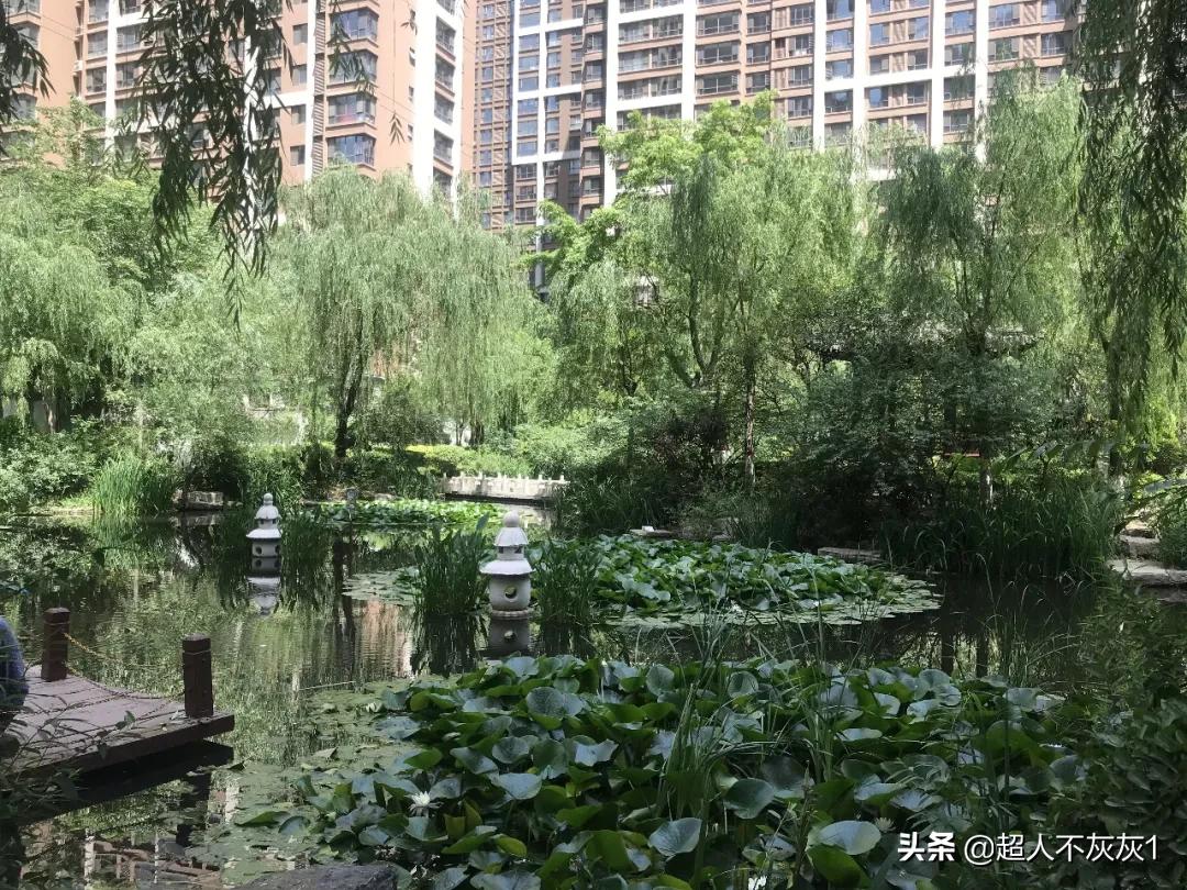 石家庄阿尔卡迪亚荣景园划片,石家庄阿尔卡迪亚荣景园学区