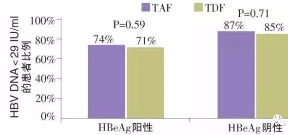 乙肝治疗选什么药？听听欧美专家的意见