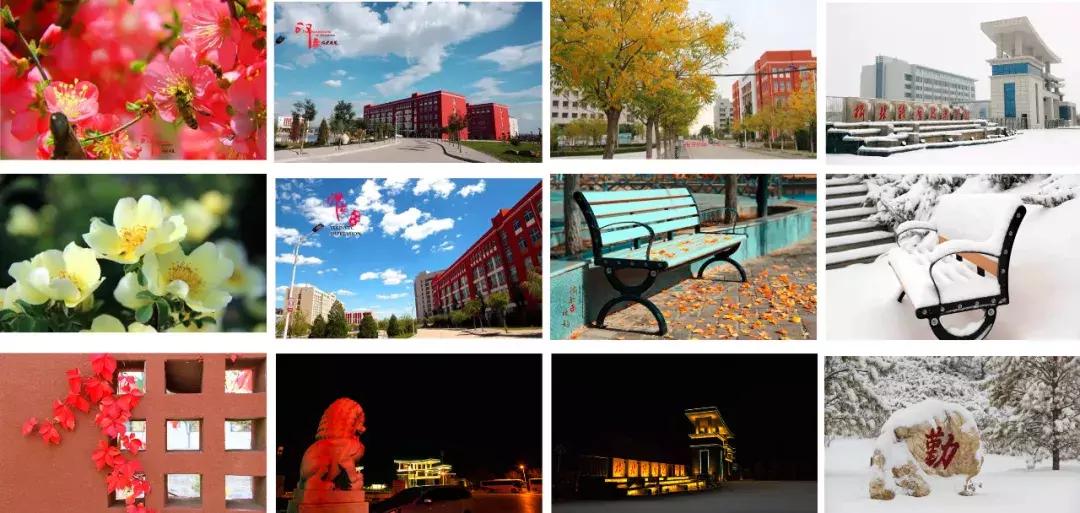 和青春不期而“榆”,请来榆林职院