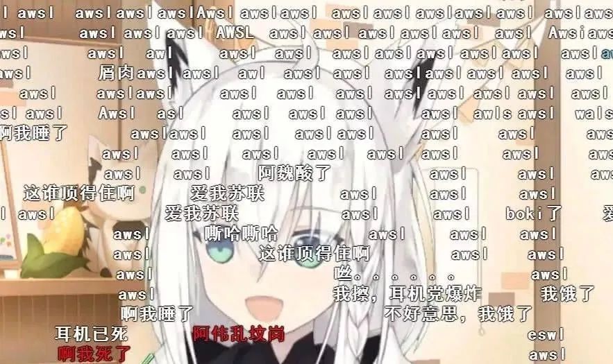 U1S1、SRDS、XSWL……再看不懂缩写，真的别上网了