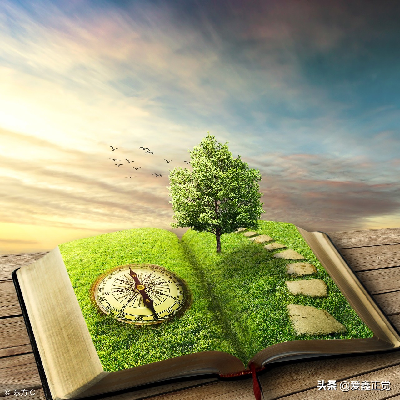 怎么规划自己的人生目标,怎么规划自己的人生呢