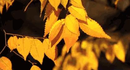 脸蛋又干又痒是怎么回事,脸蛋容易出油怎么办