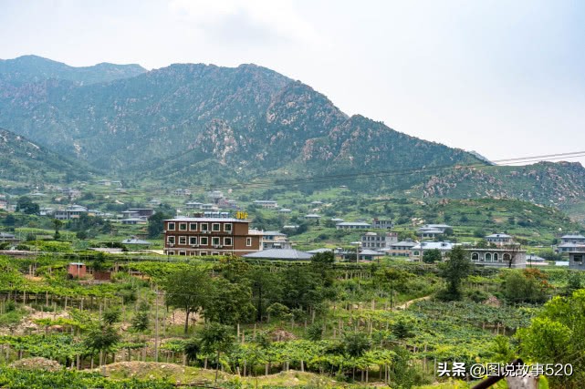 河北葡萄县,名气没*疆新**吐鲁番大,村民自称中国30%干红酒出自这