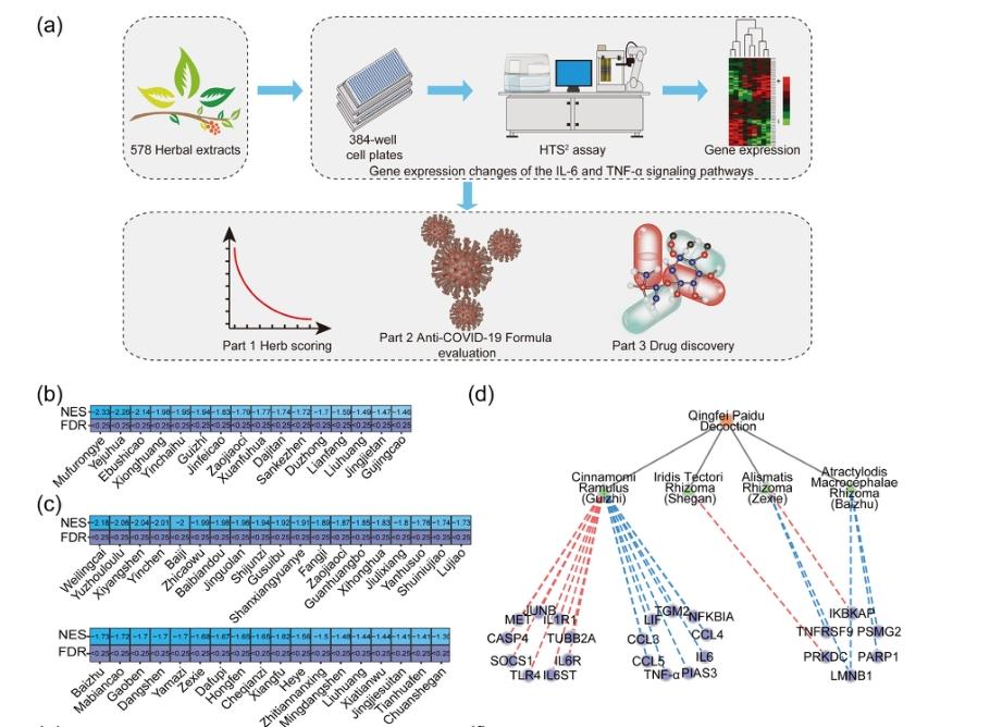 抑制细胞因子风暴的药物,诱发细胞因子风暴