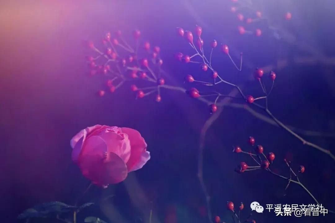 晋中婚宴,晋中旅行图文日记