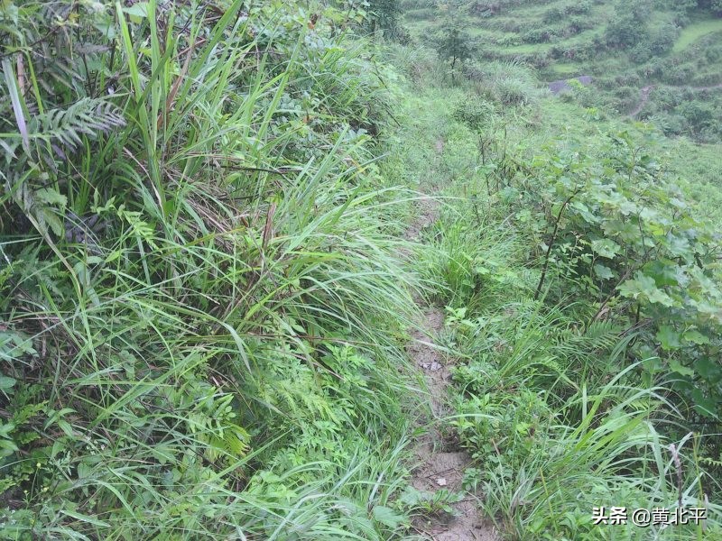 贵州遵义安场古道,贵州正安羊角老古道