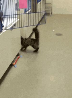 捡到了u盘里面会有什么,捡到一个u盘还好没有用