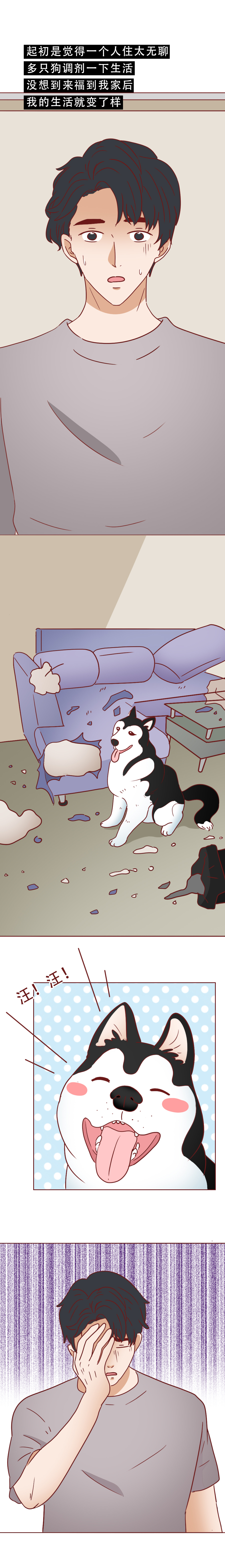 捡回来抑郁的猫,捡回一只小猫原居民抑郁了