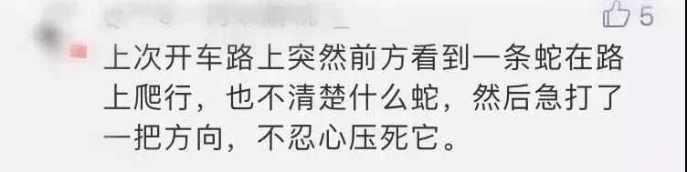 怀孕被毒蛇咬了小孩可以生下来吗,孕妇被毒蛇咬了怎么办
