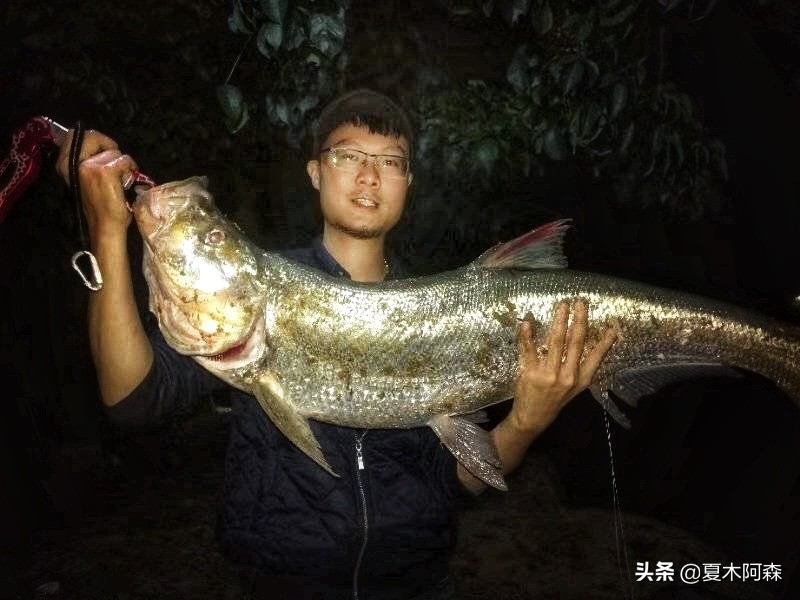 控饵手法简单的海钓,各种控饵手法在水里的姿态