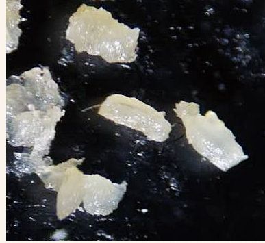 去黑头简单粗暴,去黑头不入坑