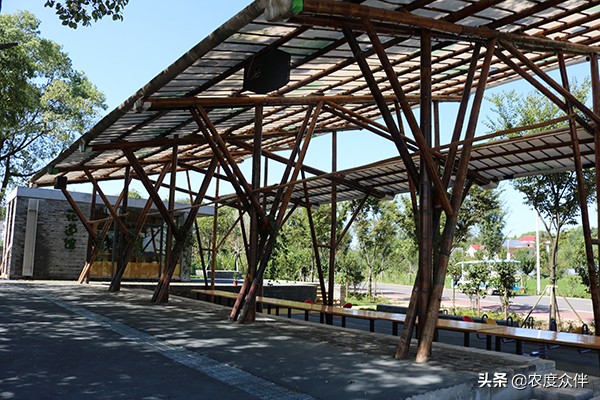 资阳田园乡村旅游景点,湖南省益阳市桃江县美丽乡村