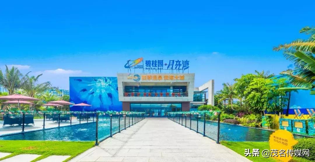 象棋比赛碧桂园杯最新战况,棋王争霸赛阳江