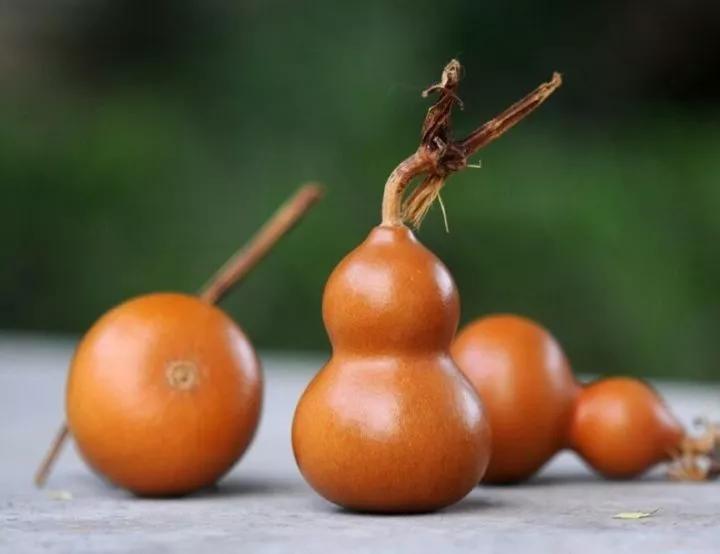 鸡爪骨文玩市场价格,最靠谱的文玩价格参考表赶紧收藏