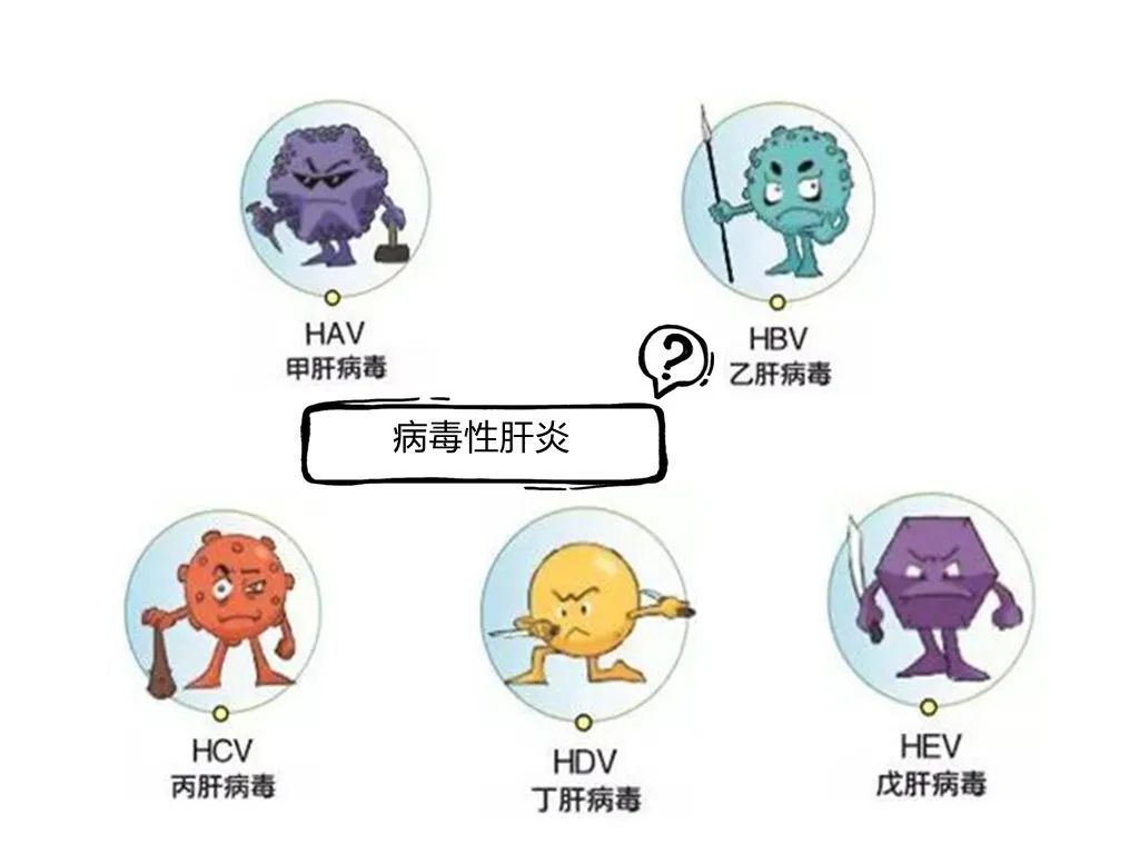 【世界肝炎日】家有“心肝”宝贝,小心儿童病毒性肝炎“肝”扰【呱呱教·151】