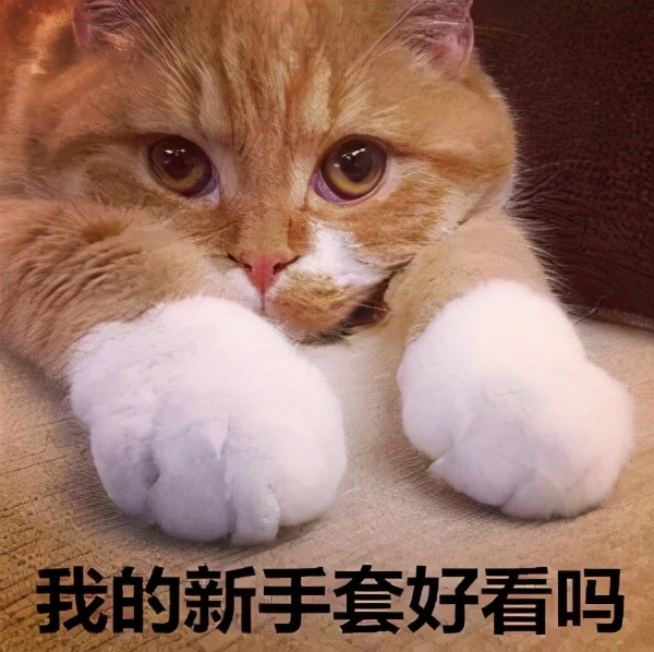 天又双叒冷了！娃的帽子、围巾、袜子等这样买，安全、科学又省钱