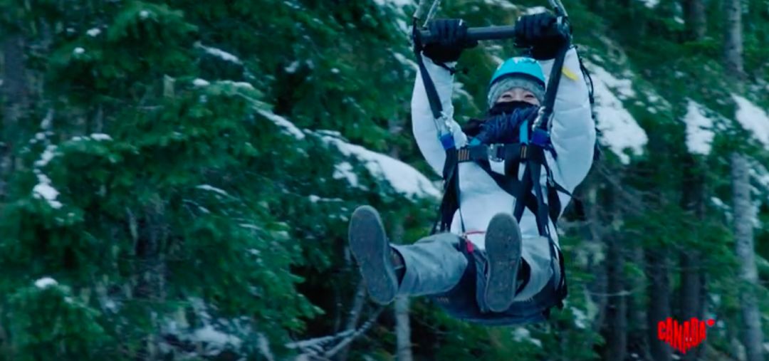 冬季世界冠军,世界冠军的辛酸