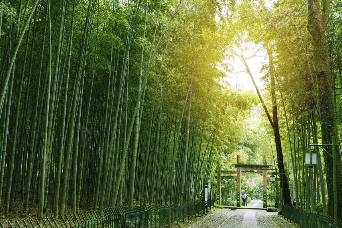 亮兄《大人也需要童话》：情蛊药