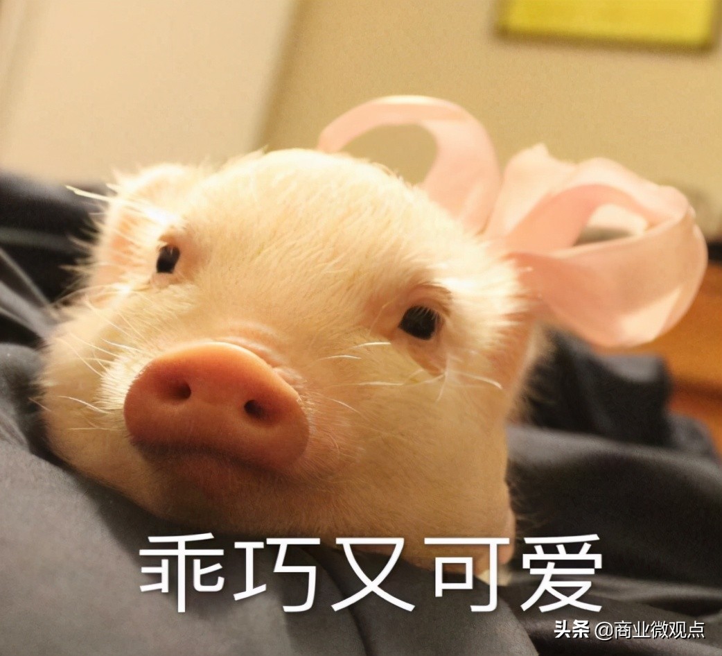 别再说孕妇矫情了,宝妈常见身体问题