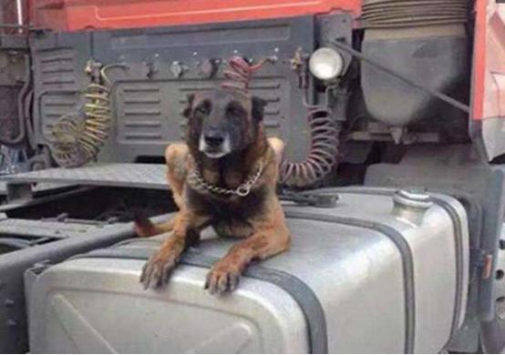 开货车优势,开货车的优缺点