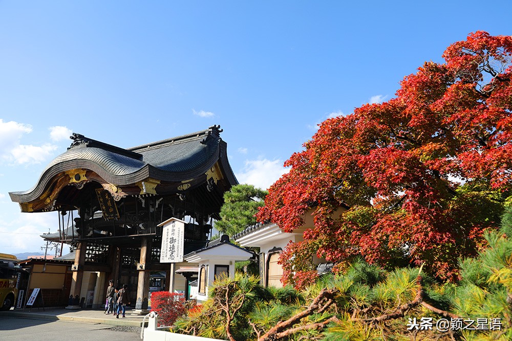 日本锅和德国锅哪个好,日本上万的锅