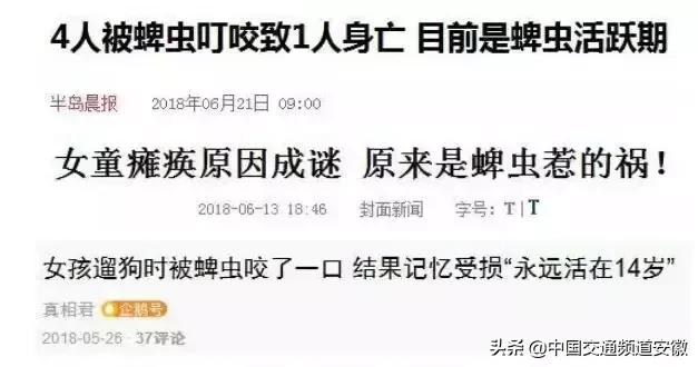 安医大二附院最新消息今天,安医大二附院住院部最新消息