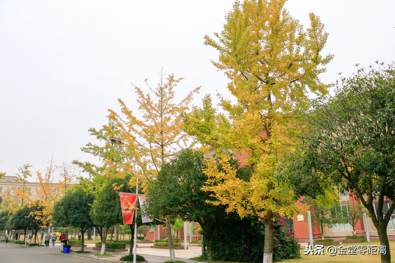 成都文理学院出来怎么样,成都文理学院金堂是本科吗