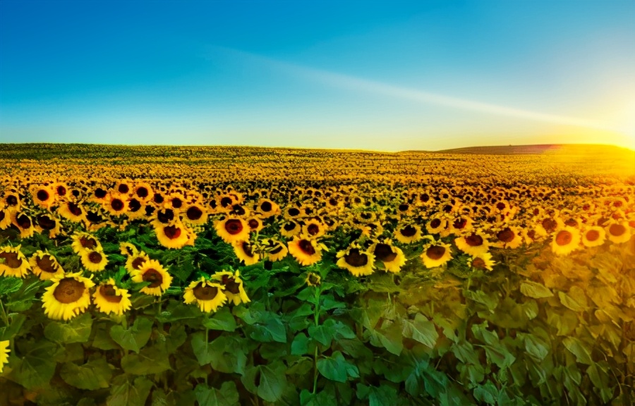 50张顶级绝美风景壁纸,绝美的海边风景图片壁纸