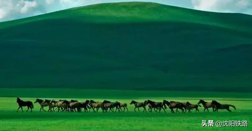 辽宁草原旅游专列,辽宁火车专列去草原
