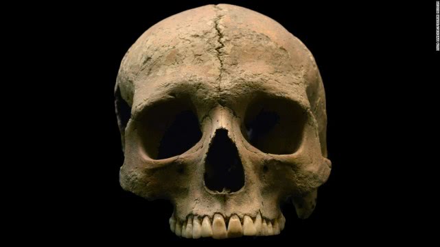 人脑进化过程:为什么人类有这么强的思考能力?