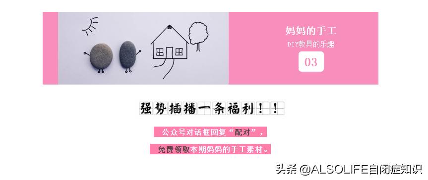 一整个切块的苹果,把一个苹果切成两半体积有变吗