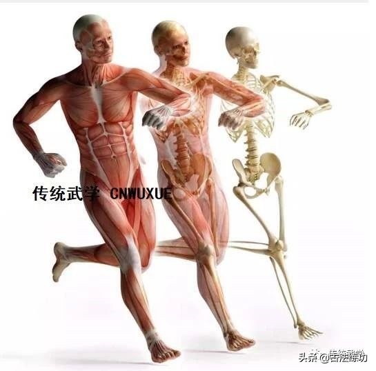 太极弓步的训练方法,太极开胯怎么练习